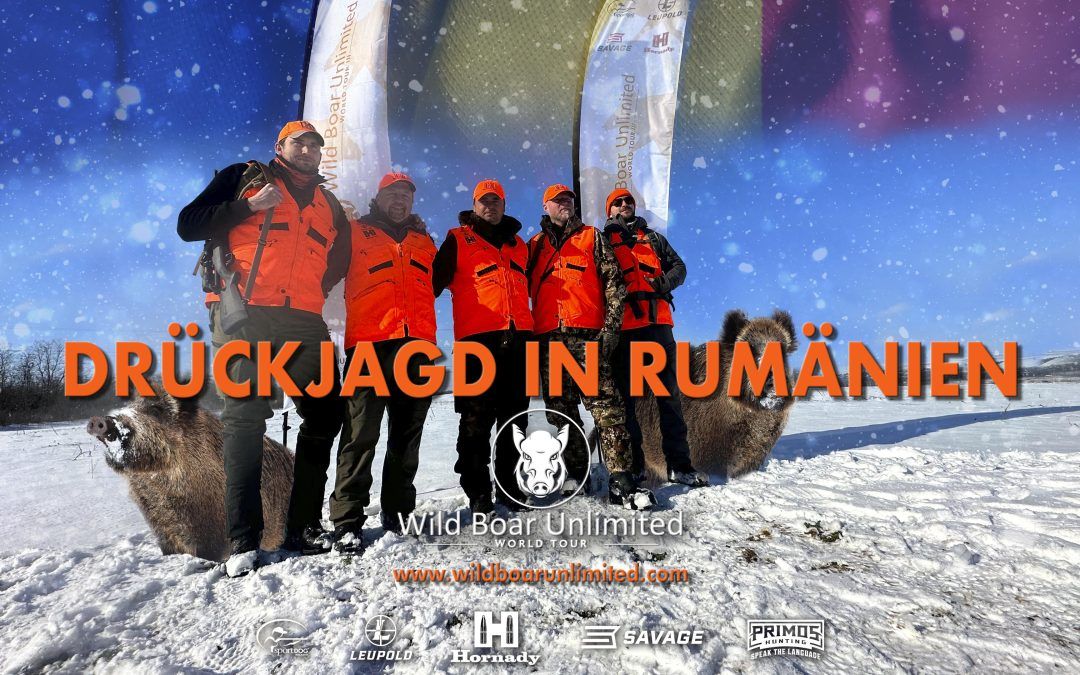 1 Drückjagd in Rumänien